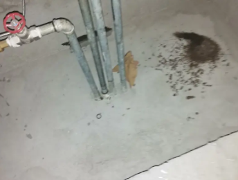 东坡卫生间测漏水价格明细
